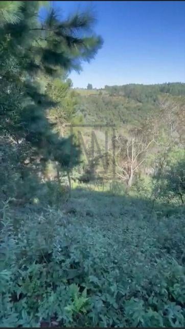 Ótimo Terreno à venda, BATEIAS  , CAMPO LARGO DA ROSEI - PR
