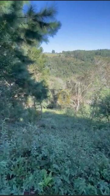 Ótimo Terreno à venda, BATEIAS  , CAMPO LARGO DA ROSEI - PR