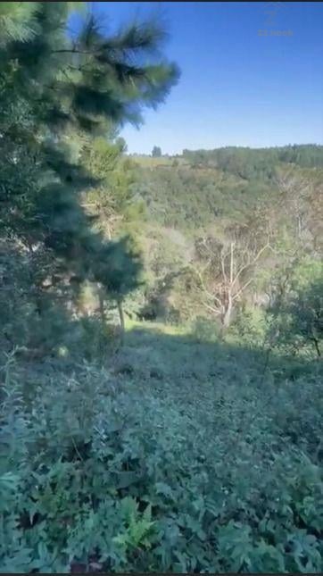 Ótimo Terreno à venda, BATEIAS  , CAMPO LARGO DA ROSEI - PR