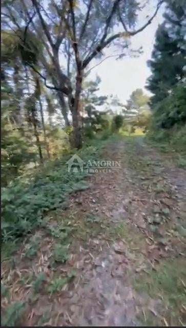 Ótimo Terreno à venda, BATEIAS  , CAMPO LARGO DA ROSEI - PR