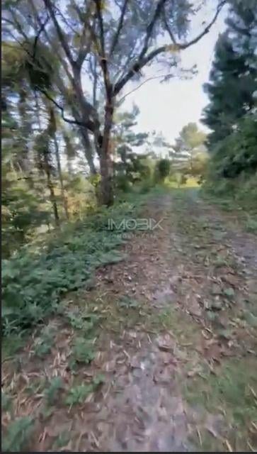 Ótimo Terreno à venda, BATEIAS  , CAMPO LARGO DA ROSEI - PR