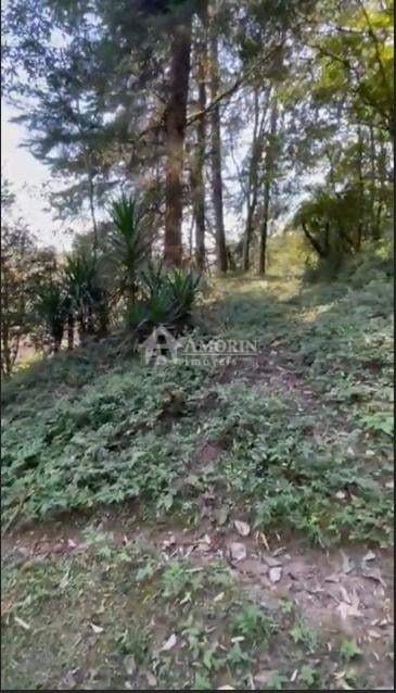 Ótimo Terreno à venda, BATEIAS  , CAMPO LARGO DA ROSEI - PR