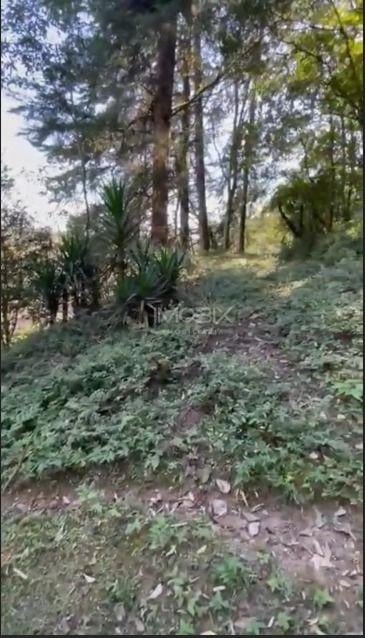 Ótimo Terreno à venda, BATEIAS  , CAMPO LARGO DA ROSEI - PR