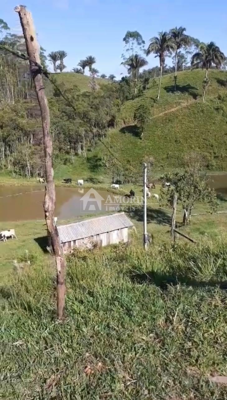 Sítio à venda, RIO PEQUENO  , CAMPINA GRANDE DO SUL - PR