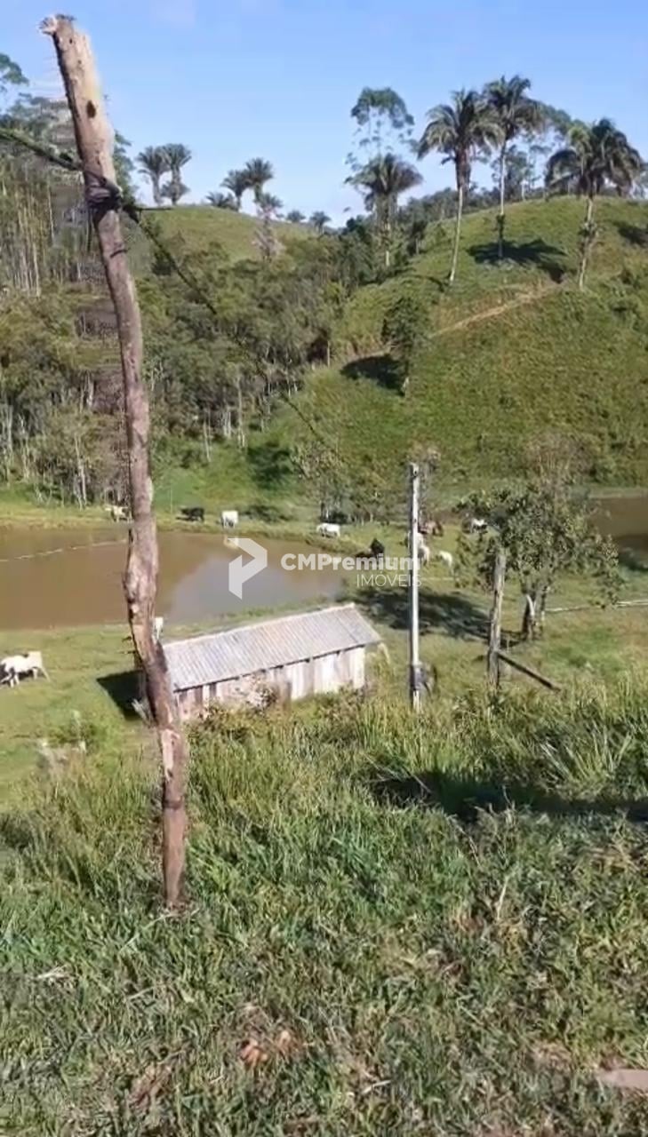 Sítio à venda, RIO PEQUENO  , CAMPINA GRANDE DO SUL - PR