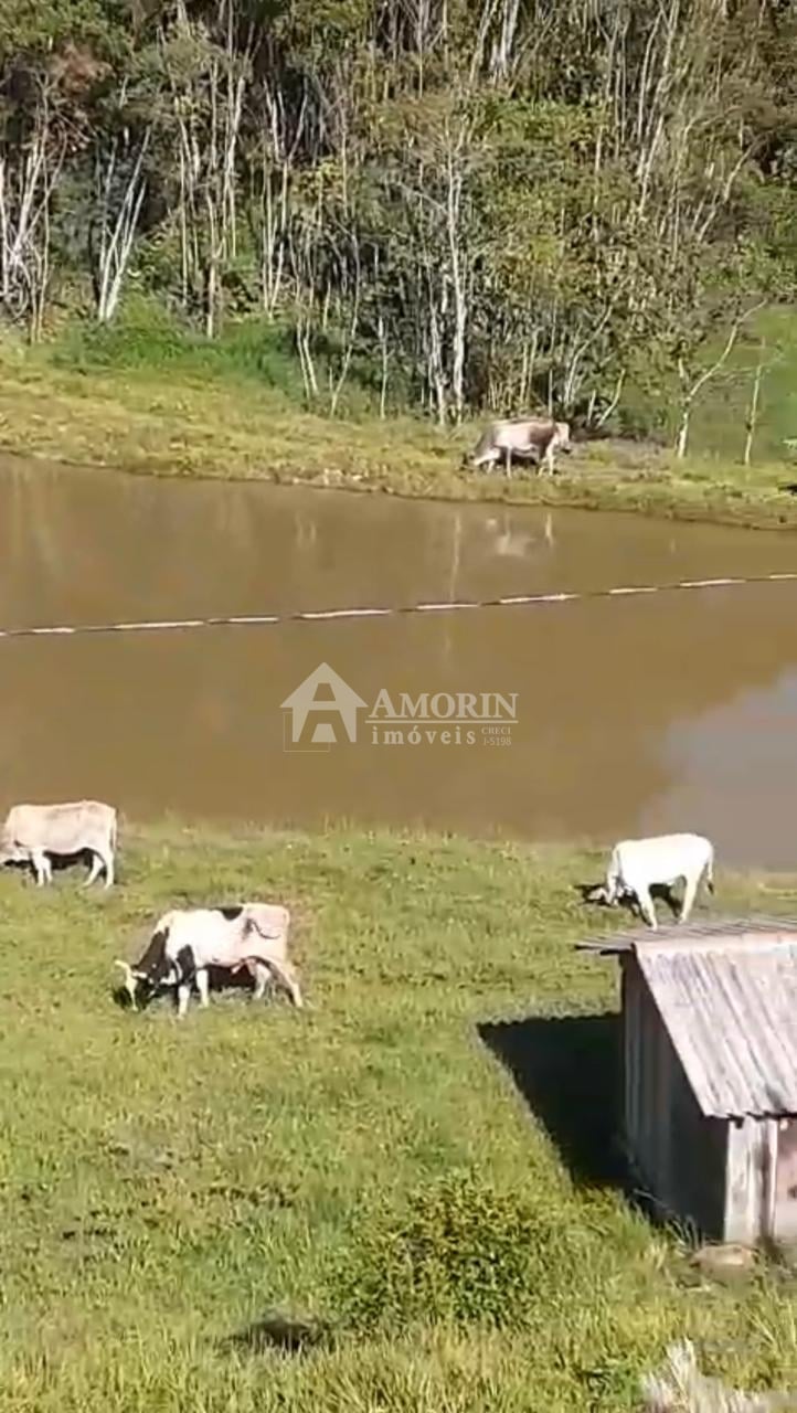 Sítio à venda, RIO PEQUENO  , CAMPINA GRANDE DO SUL - PR