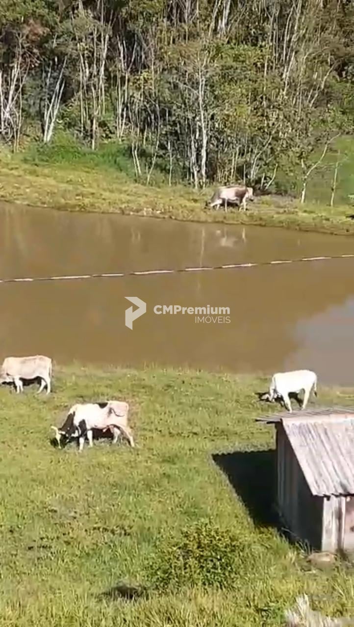 Sítio à venda, RIO PEQUENO  , CAMPINA GRANDE DO SUL - PR