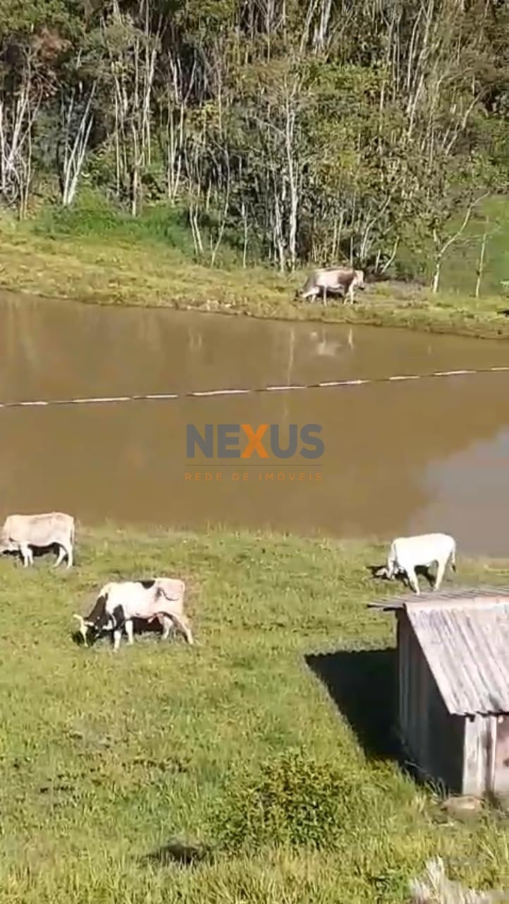 Sítio à venda, RIO PEQUENO  , CAMPINA GRANDE DO SUL - PR