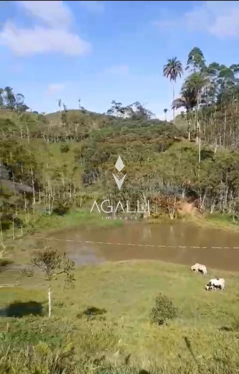 Sítio à venda, RIO PEQUENO  , CAMPINA GRANDE DO SUL - PR