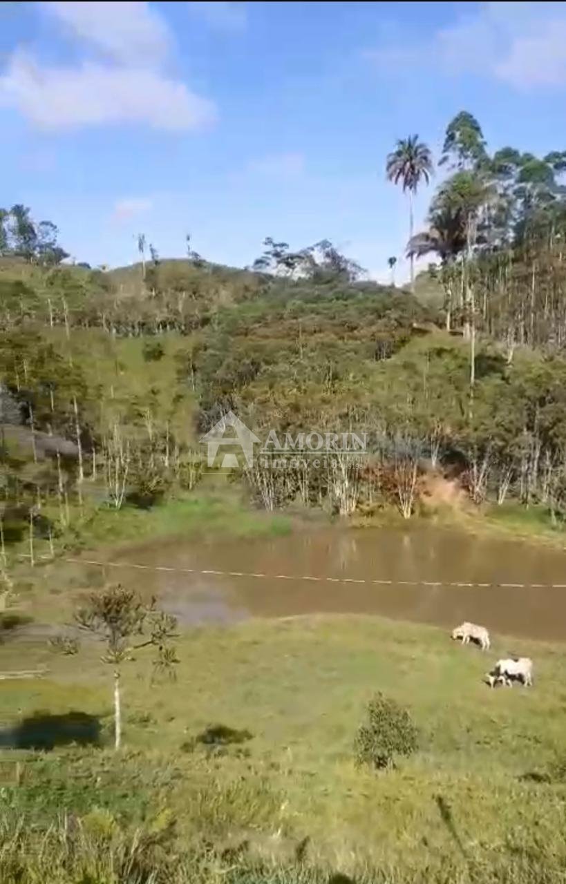 Sítio à venda, RIO PEQUENO  , CAMPINA GRANDE DO SUL - PR