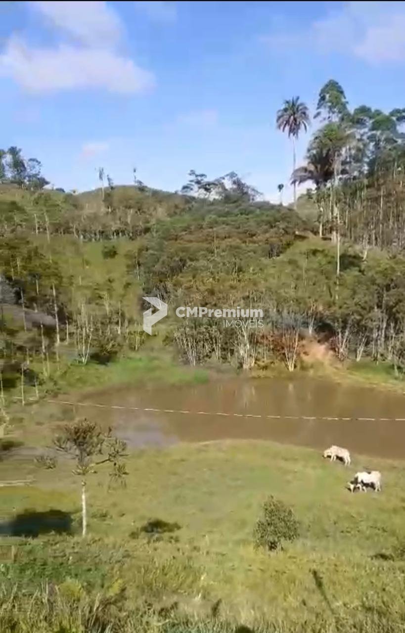 Sítio à venda, RIO PEQUENO  , CAMPINA GRANDE DO SUL - PR