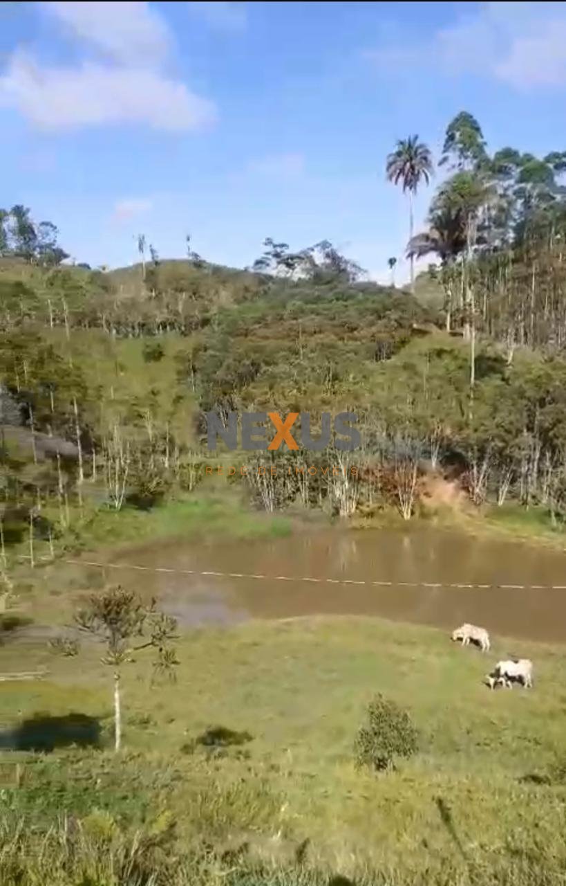 Sítio à venda, RIO PEQUENO  , CAMPINA GRANDE DO SUL - PR