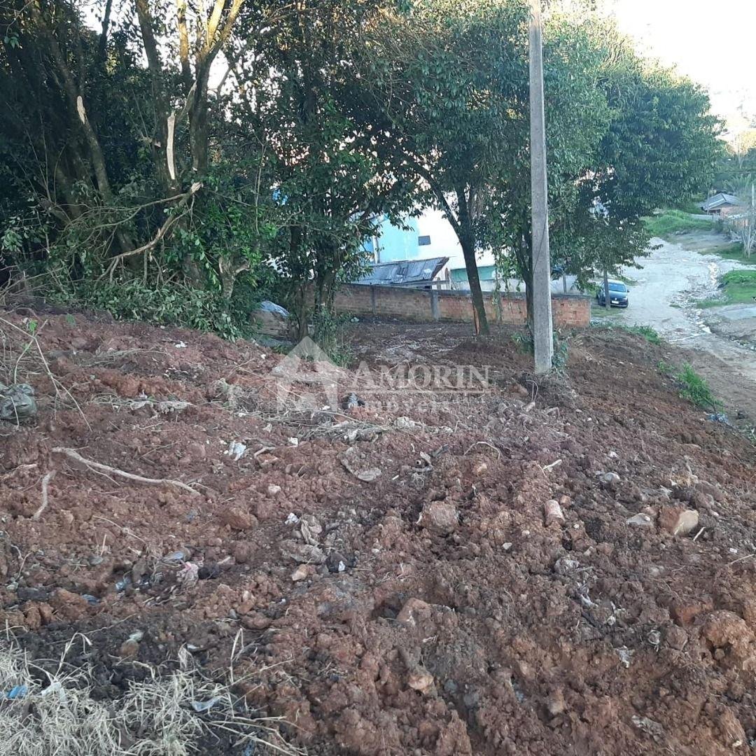 Terreno amplo à venda, em ALMIRANTE TAMANDARÉ  , FAZENDA RIO G...