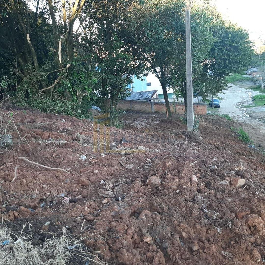 Terreno amplo à venda, em ALMIRANTE TAMANDARÉ  , FAZENDA RIO G...