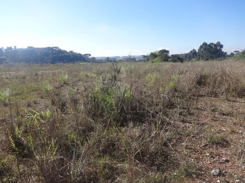 Terreno à venda, 12542 m  - Thomaz Coelho - Araucária PR