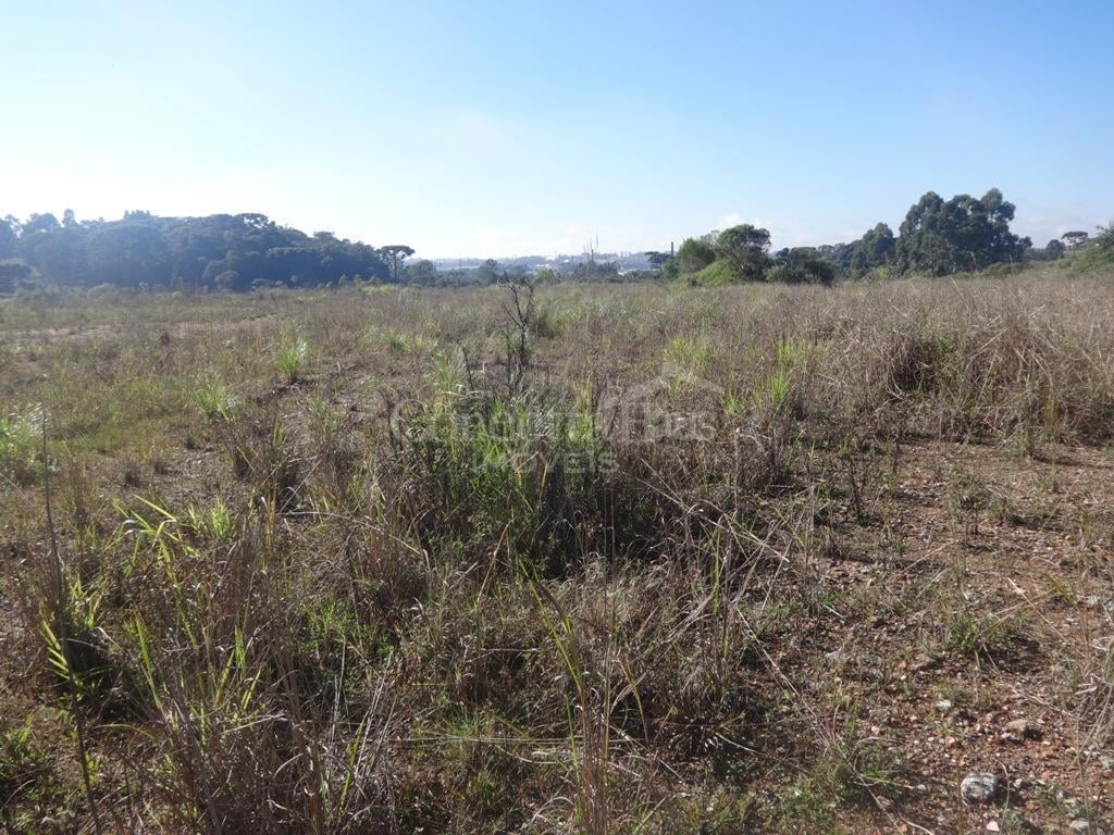 Terreno à venda, 12542 m  - Thomaz Coelho - Araucária PR