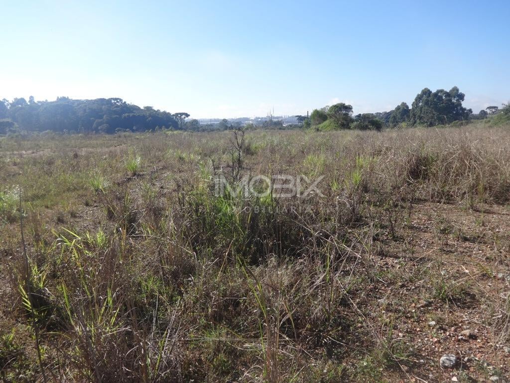 Terreno à venda, 12542 m  - Thomaz Coelho - Araucária PR