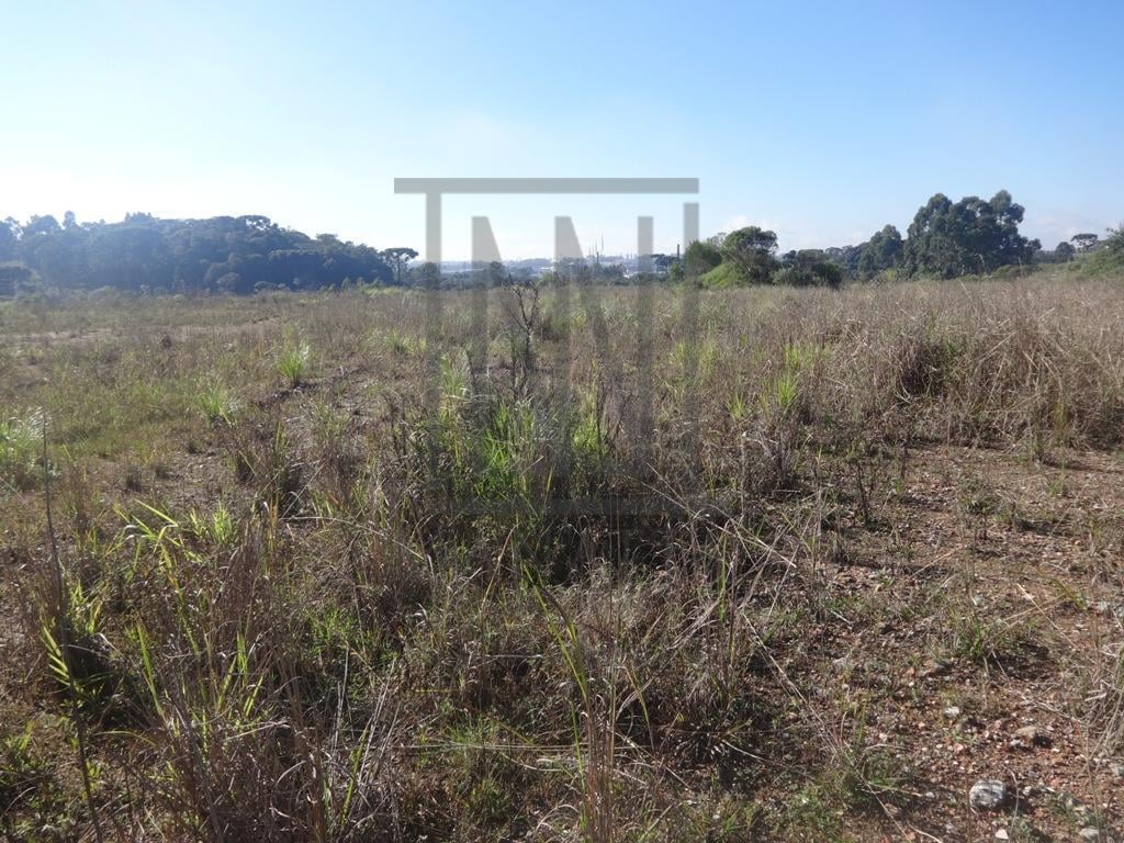 Terreno à venda, 12542 m  - Thomaz Coelho - Araucária PR