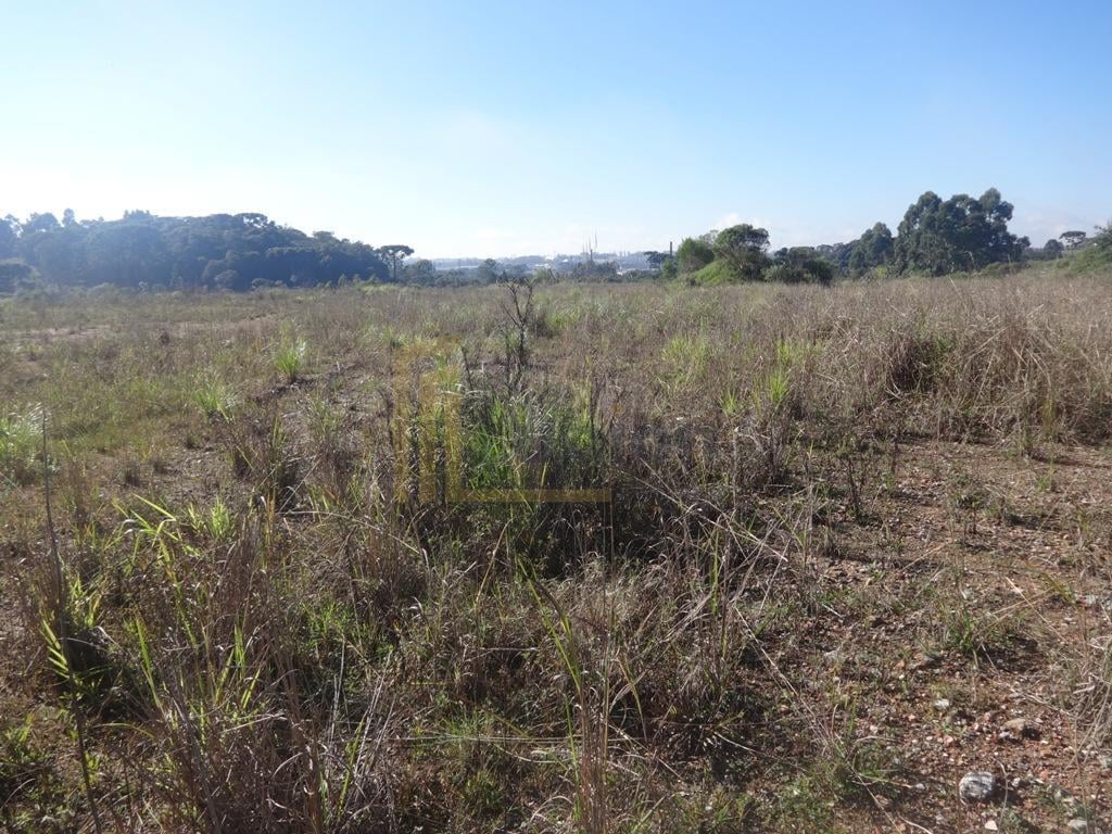 Terreno à venda, 12542 m  - Thomaz Coelho - Araucária PR