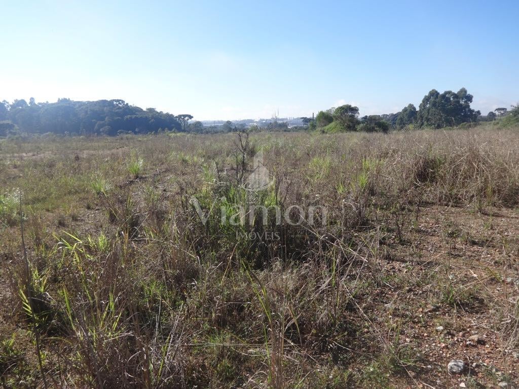 Terreno à venda, 12542 m  - Thomaz Coelho - Araucária PR