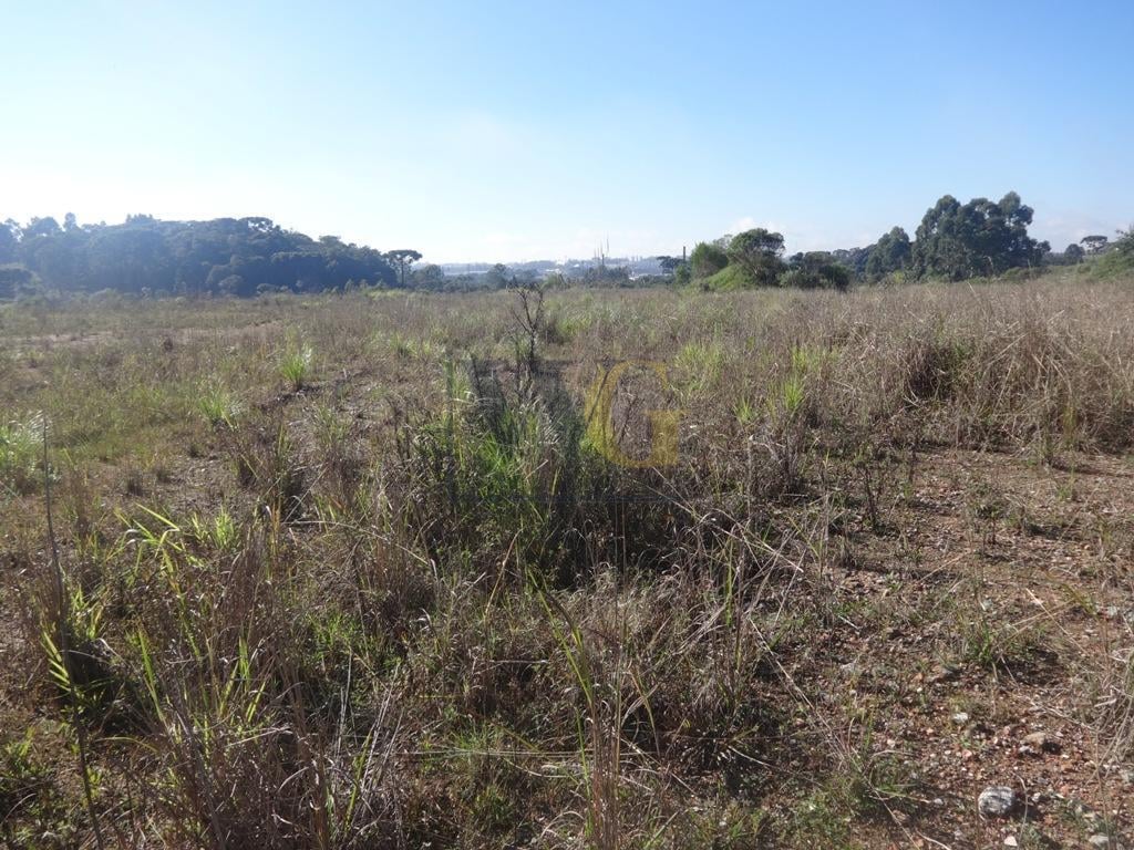 Terreno à venda, 12542 m  - Thomaz Coelho - Araucária PR