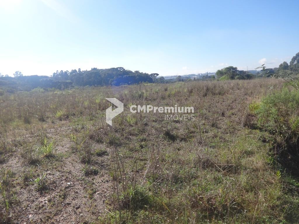 Terreno à venda, 12542 m  - Thomaz Coelho - Araucária PR