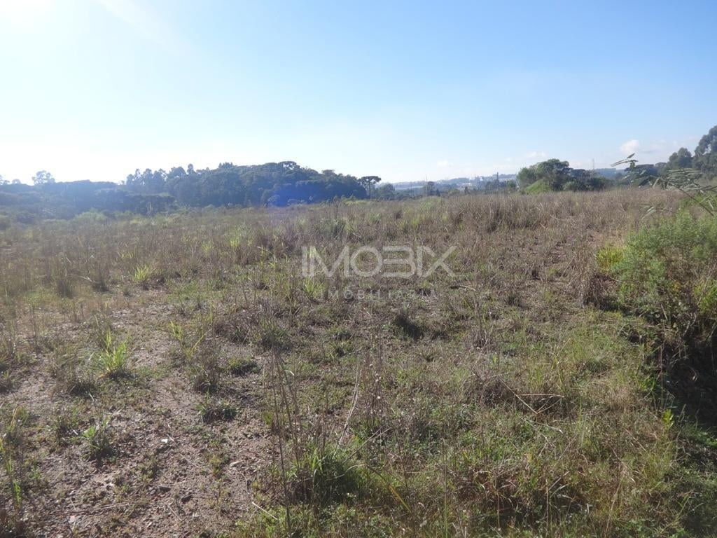 Terreno à venda, 12542 m  - Thomaz Coelho - Araucária PR