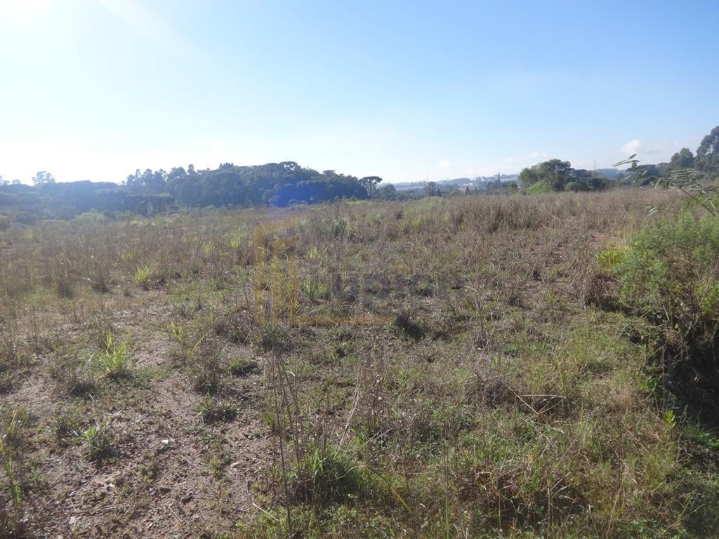 Terreno à venda, 12542 m  - Thomaz Coelho - Araucária PR