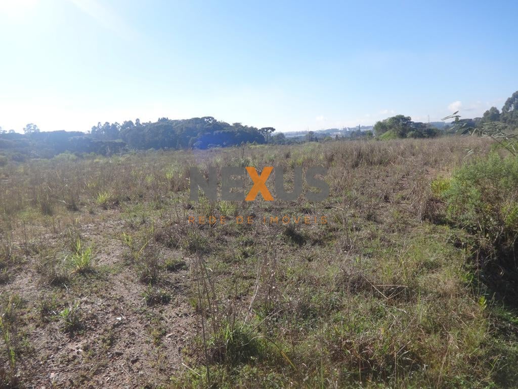 Terreno à venda, 12542 m  - Thomaz Coelho - Araucária PR