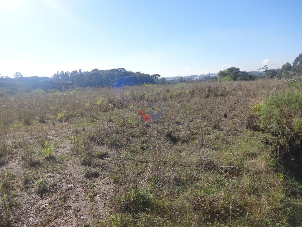 Terreno à venda, 12542 m  - Thomaz Coelho - Araucária PR