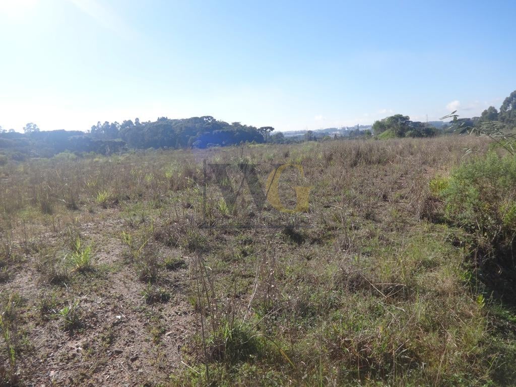 Terreno à venda, 12542 m  - Thomaz Coelho - Araucária PR