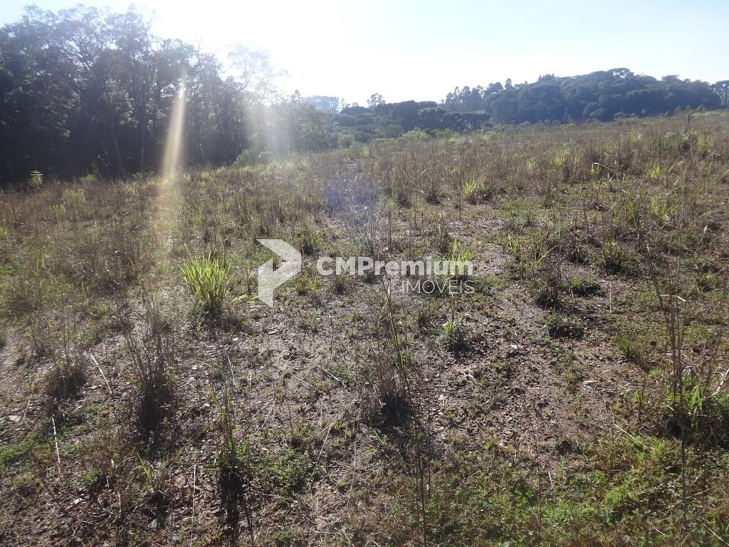 Terreno à venda, 12542 m  - Thomaz Coelho - Araucária PR