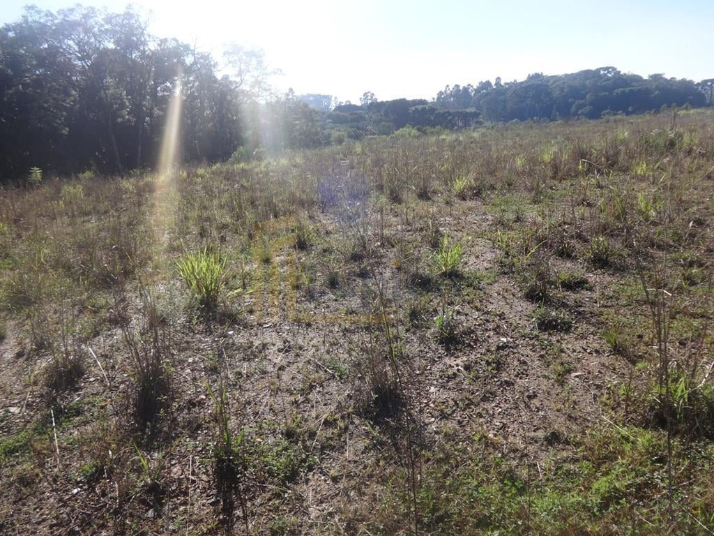 Terreno à venda, 12542 m  - Thomaz Coelho - Araucária PR
