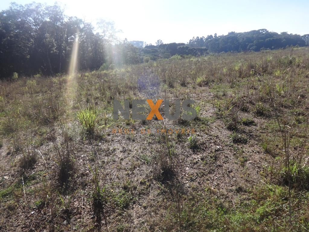 Terreno à venda, 12542 m  - Thomaz Coelho - Araucária PR