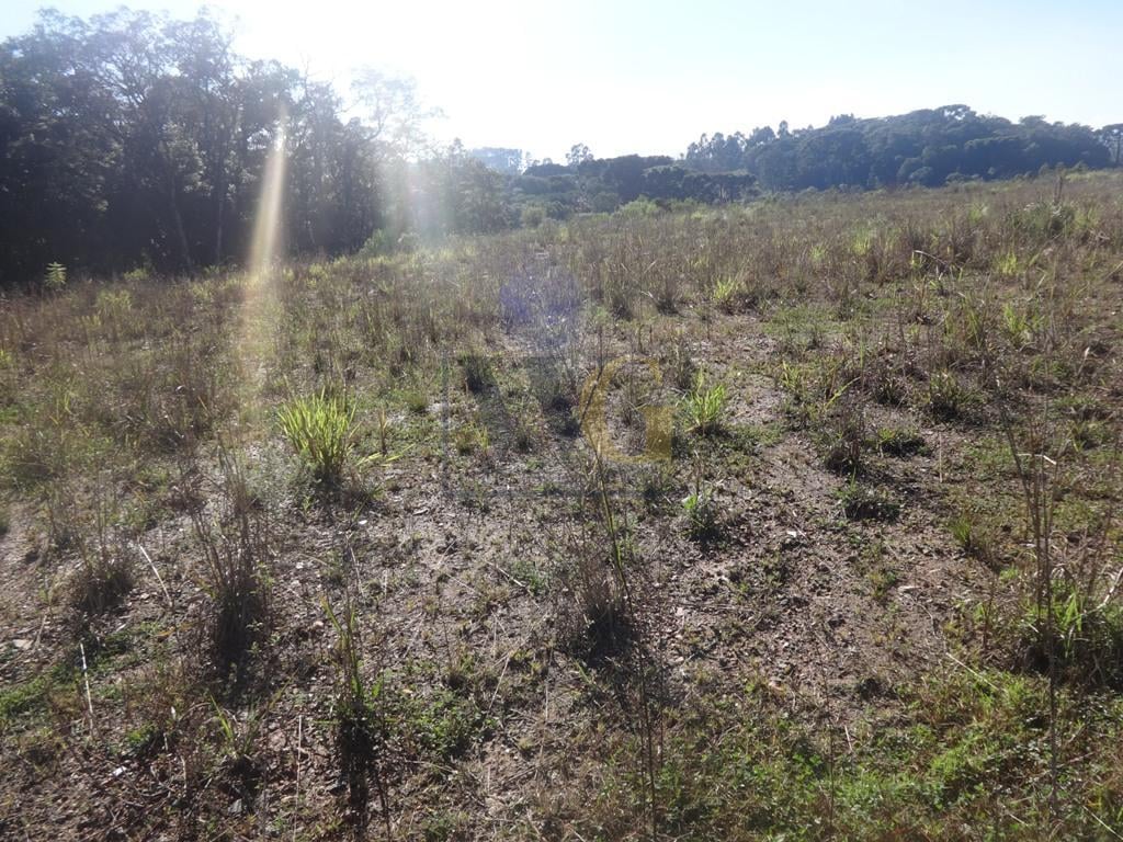 Terreno à venda, 12542 m  - Thomaz Coelho - Araucária PR
