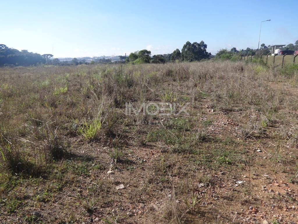 Terreno à venda, 12542 m  - Thomaz Coelho - Araucária PR