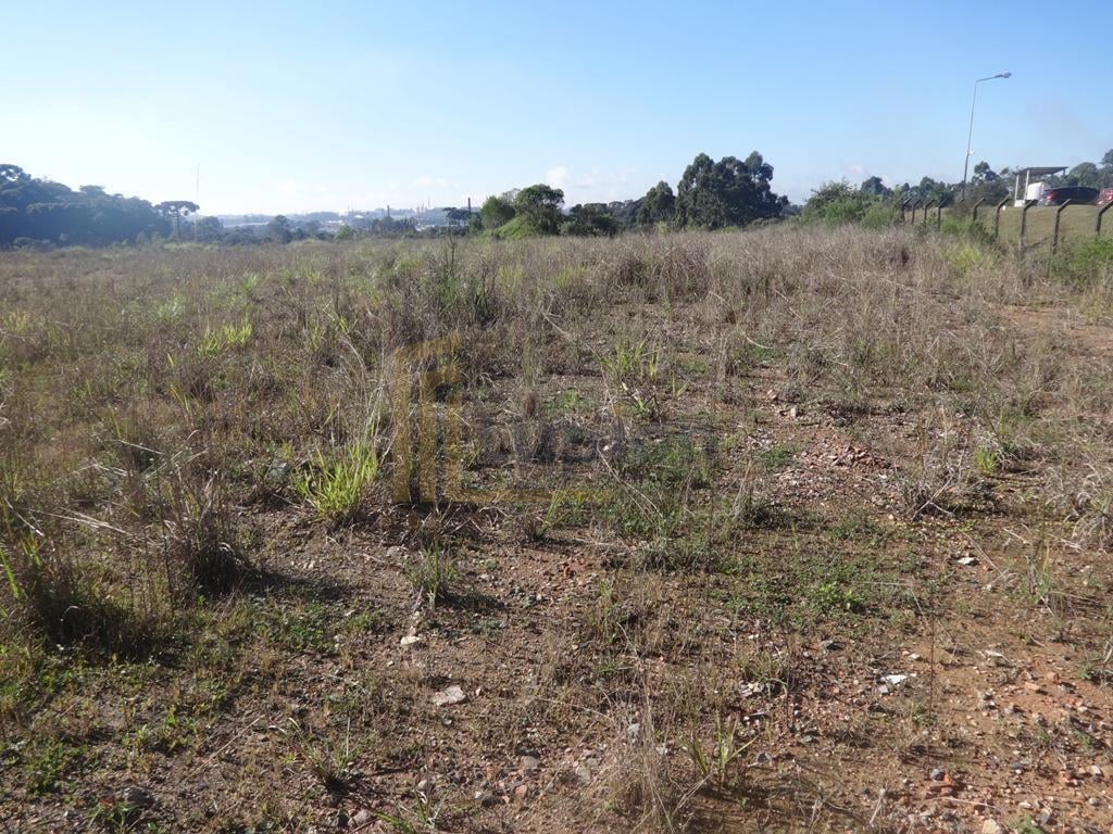 Terreno à venda, 12542 m  - Thomaz Coelho - Araucária PR