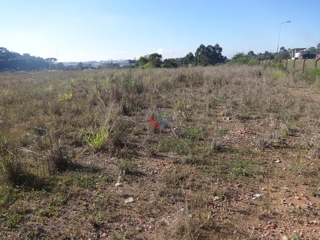 Terreno à venda, 12542 m  - Thomaz Coelho - Araucária PR
