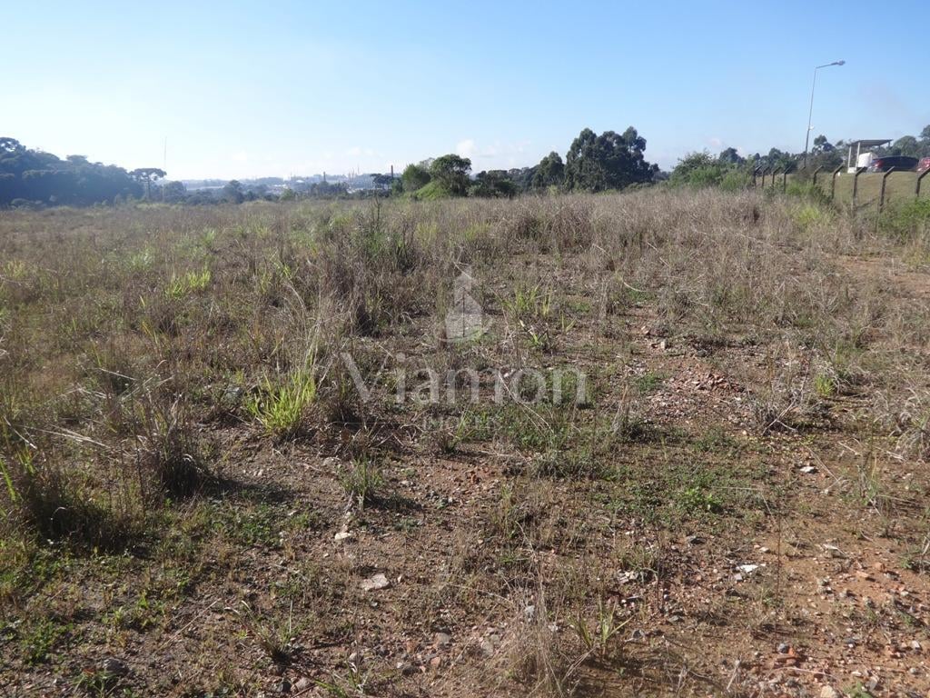 Terreno à venda, 12542 m  - Thomaz Coelho - Araucária PR
