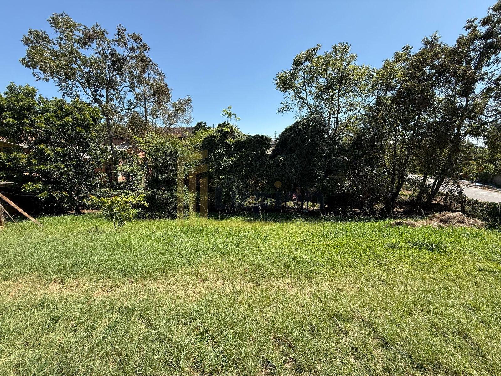 Terreno a venda em Araucária