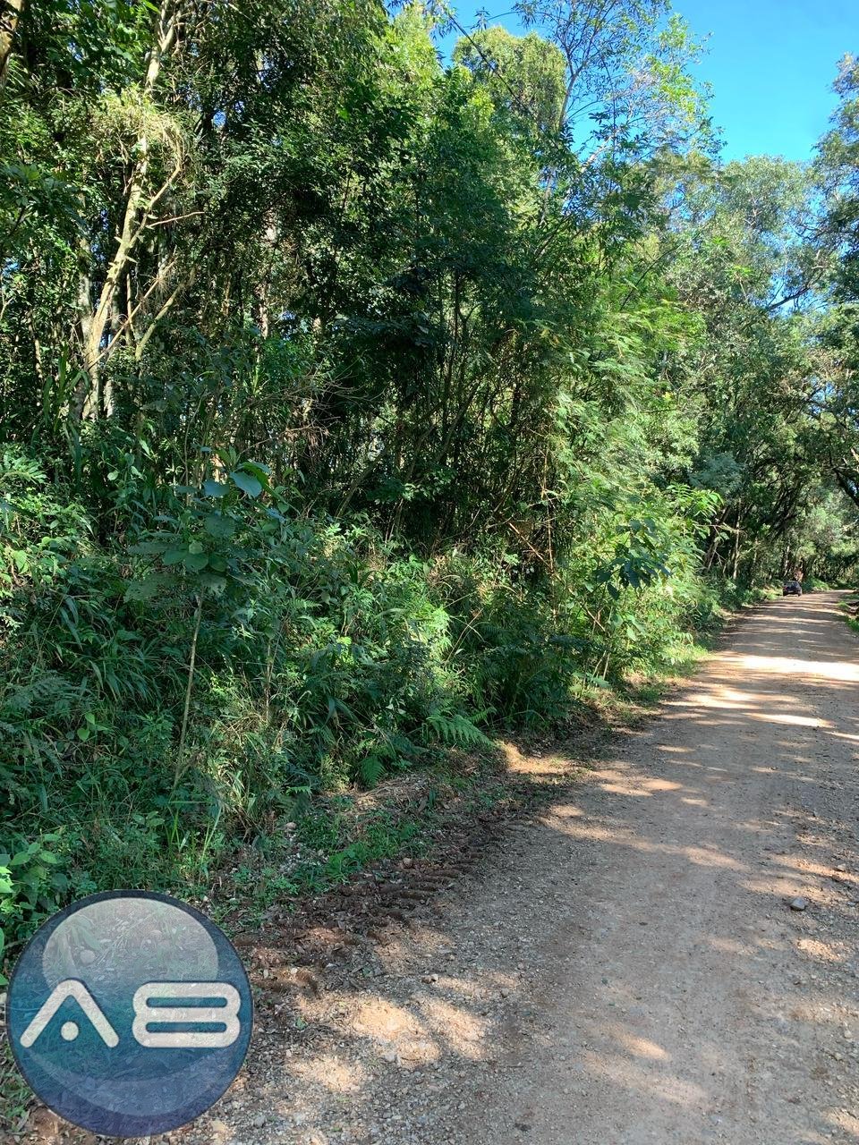 Ch?cara ? venda, Rodeio Santo Antonio, BALSA NOVA - PR