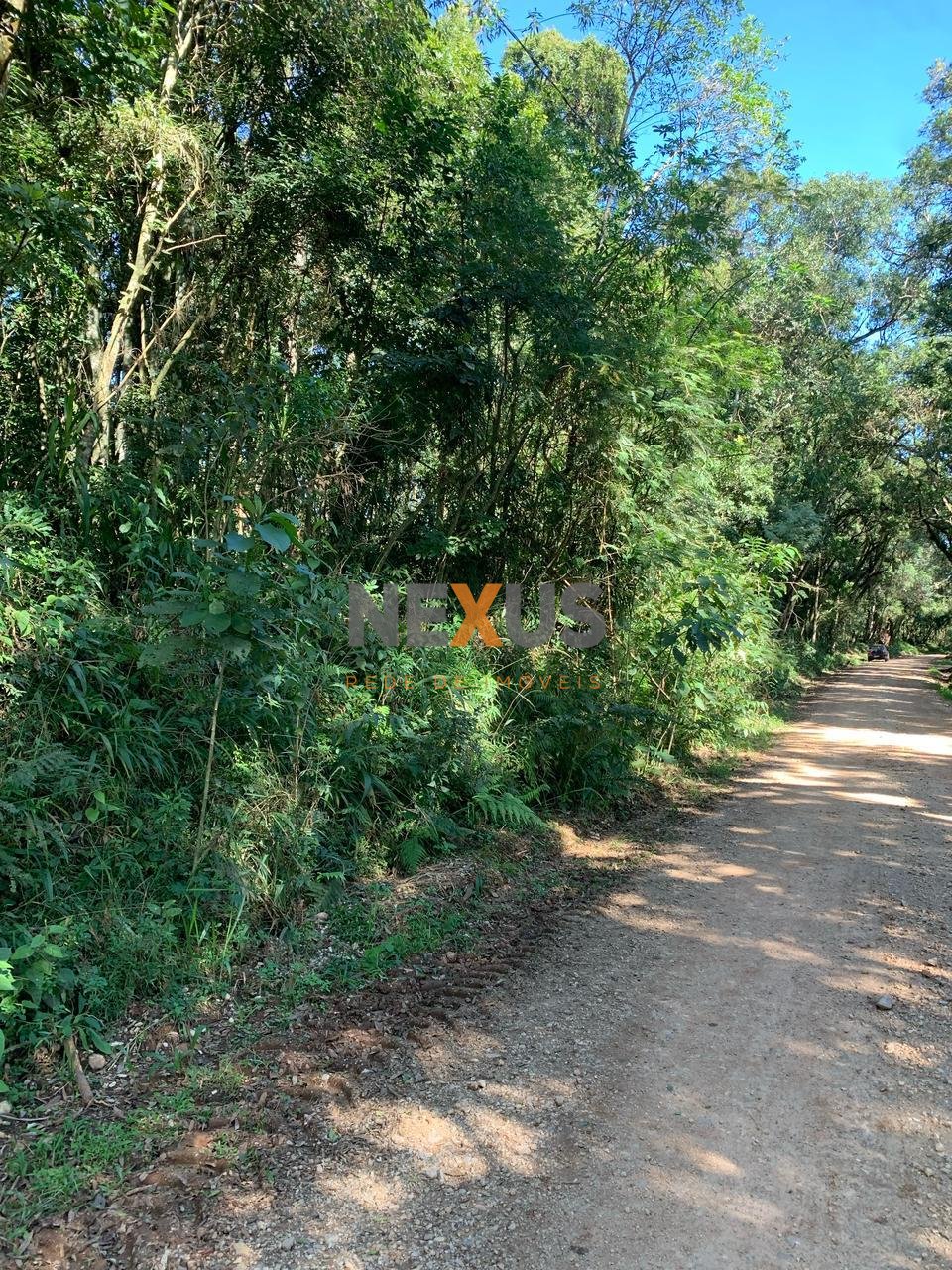 Chácara à Venda em Rodeio Santo Antônio  Balsa Nova PR  20.0...