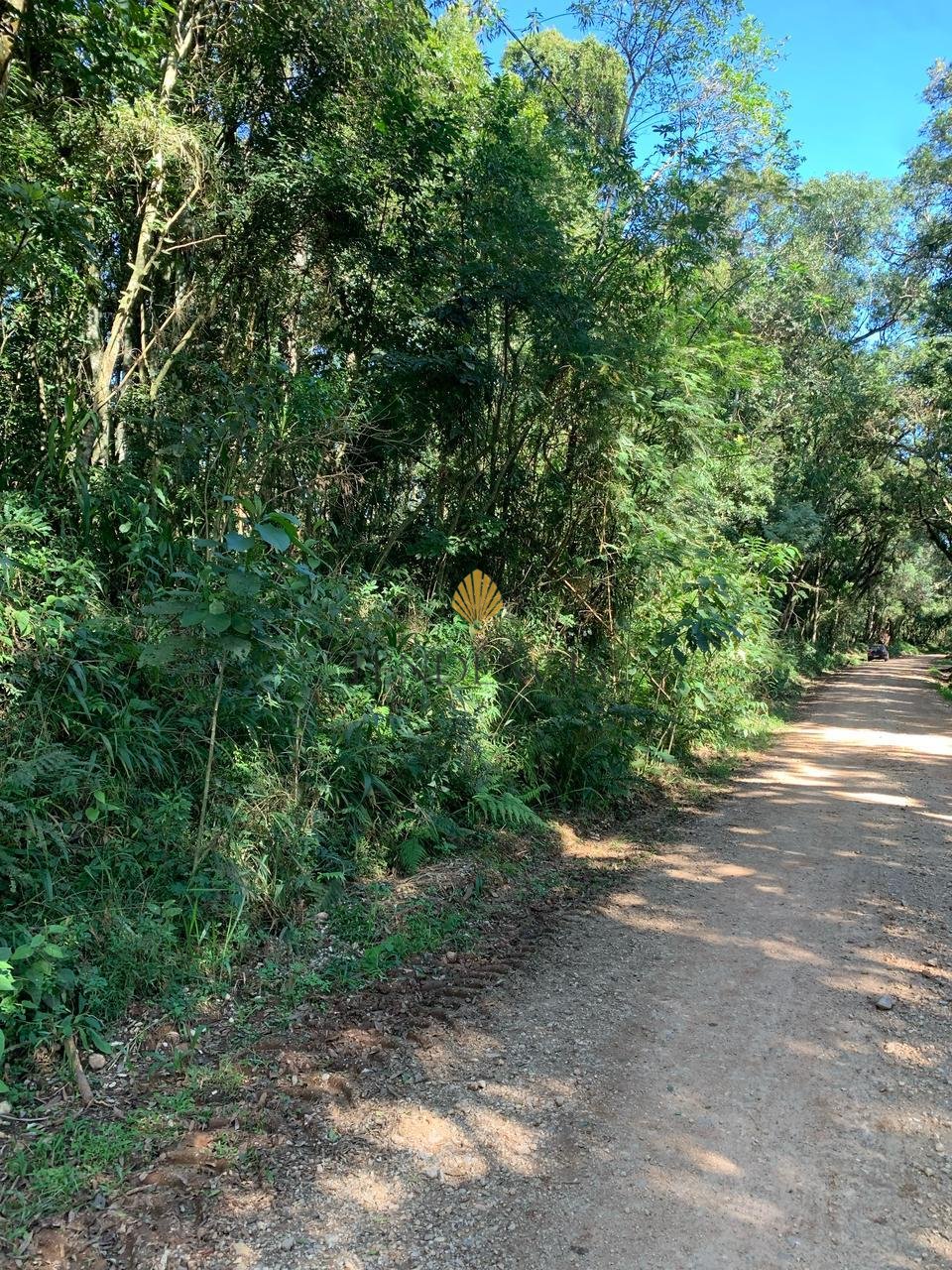 Ch?cara ? venda, Rodeio Santo Antonio, BALSA NOVA - PR