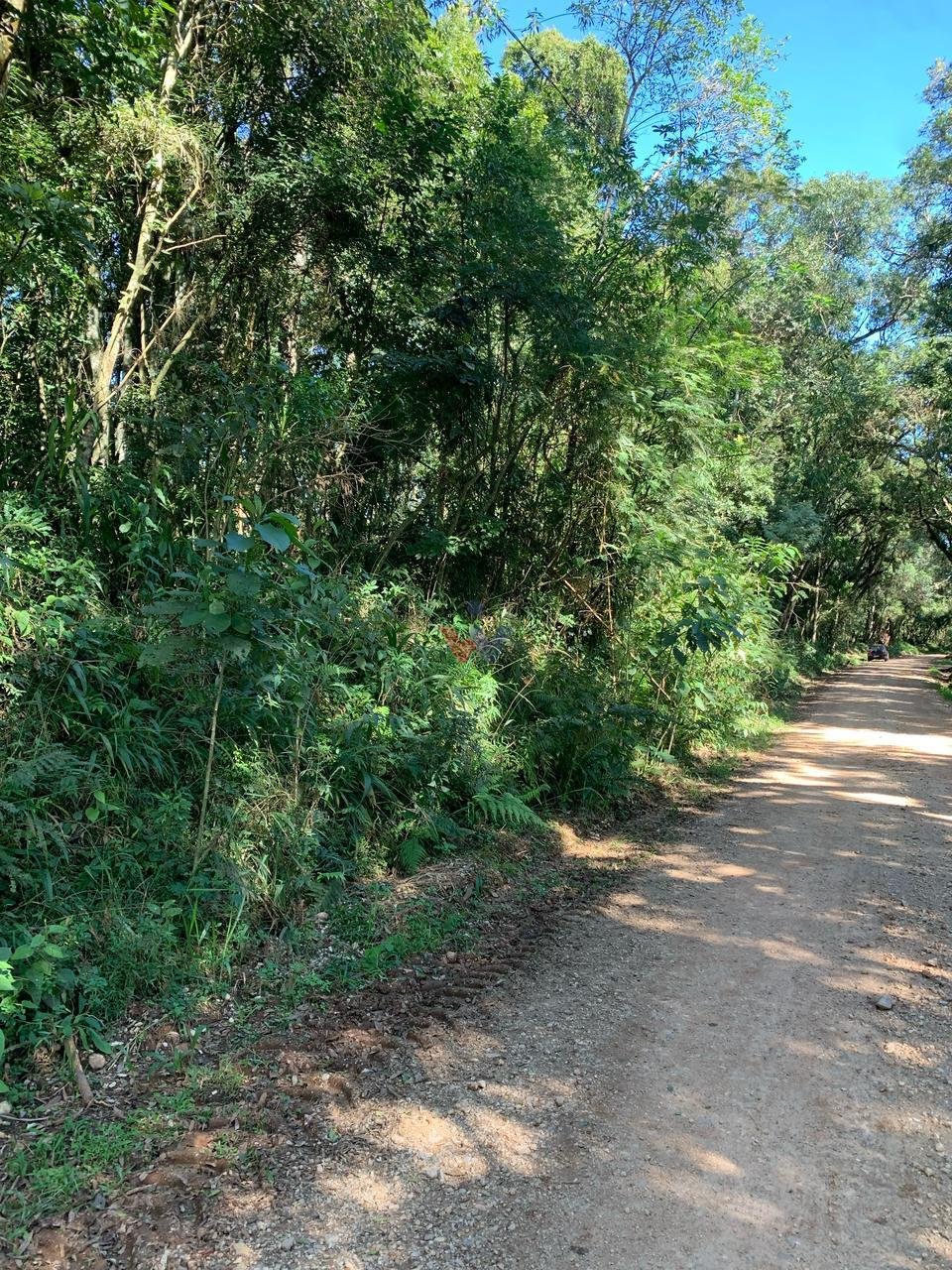 Chácara à venda, Rodeio Santo Antonio, BALSA NOVA - PR