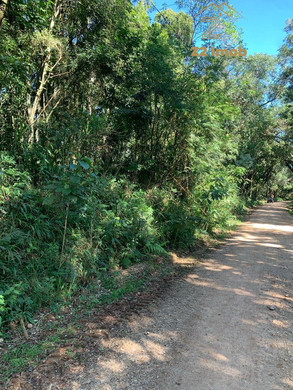 Chácara à venda, Rodeio Santo Antonio, BALSA NOVA - PR
