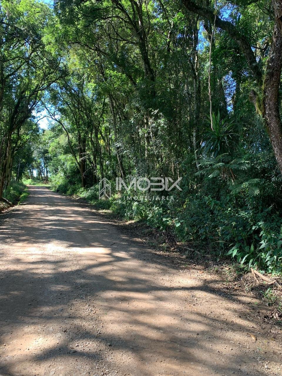 Chácara à venda, Rodeio Santo Antonio, BALSA NOVA - PR