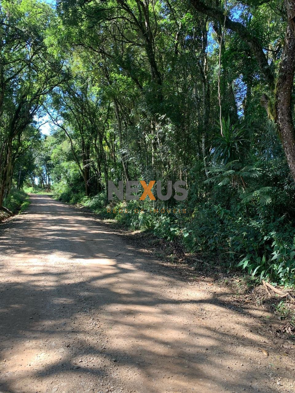 Chácara à Venda em Rodeio Santo Antônio  Balsa Nova PR  20.0...