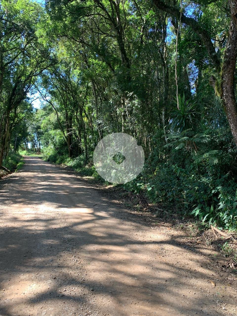 Chácara à venda, Rodeio Santo Antonio, BALSA NOVA - PR