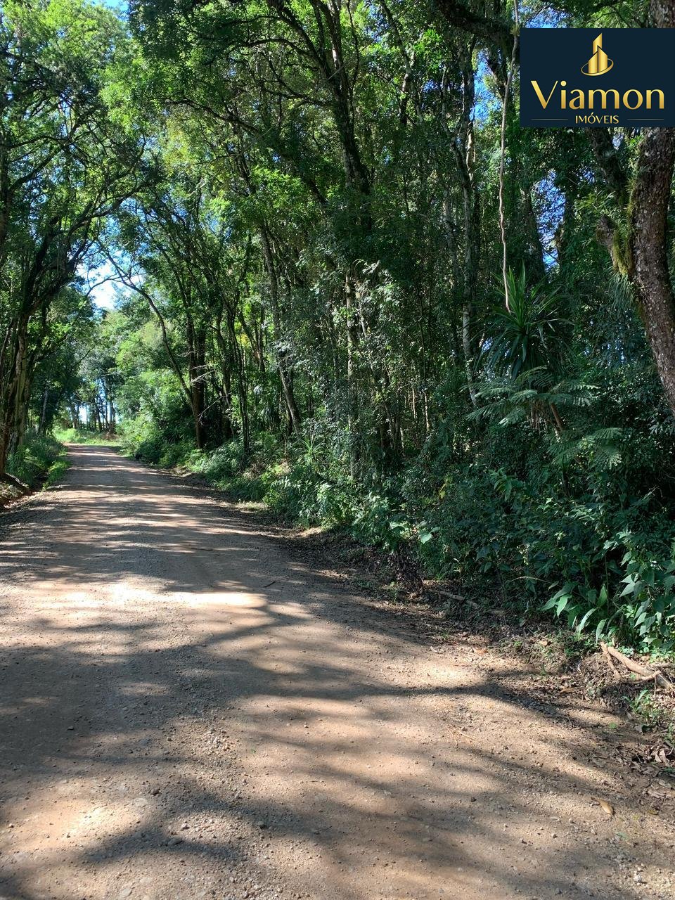 Chácara à venda, Rodeio Santo Antonio, BALSA NOVA - PR