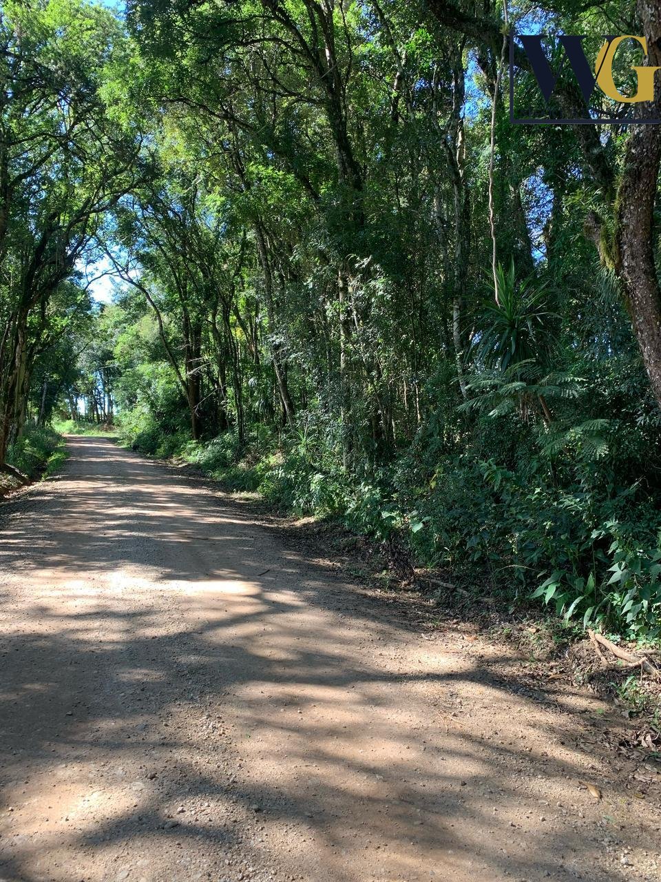 Chácara à venda, Rodeio Santo Antonio, BALSA NOVA - PR